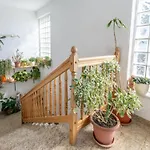 Charming With Balcony - One Bedroom