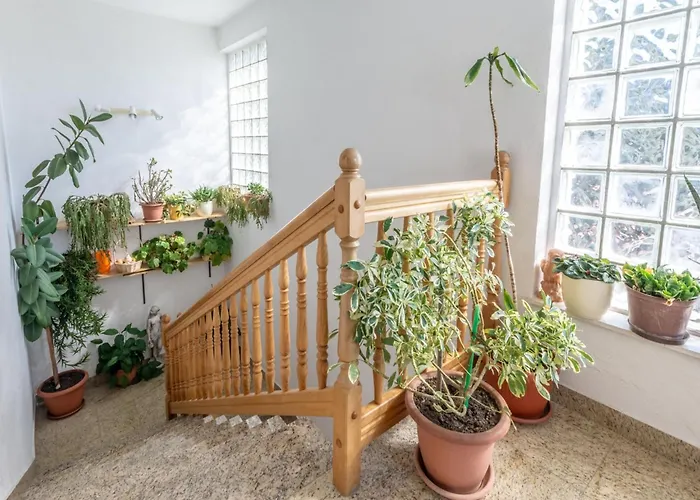 Charming With Balcony - One Bedroom